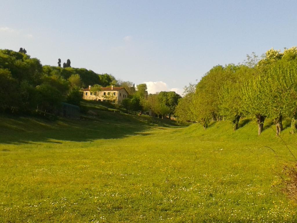 Bed and Breakfast Casale La Rocchetta Лоніго Екстер'єр фото